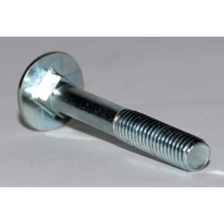 Vis OUTILS-WOLF 22031OW