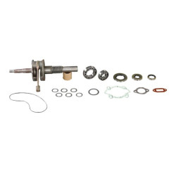 Vilebrequin AS-MOTOR E10541ASM