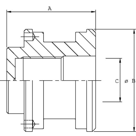 Piston UNIVERSEL DC2904004VM
