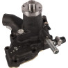 Pompe à eau SDF 003141584