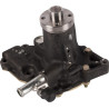 Pompe à eau SDF 003141584