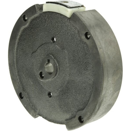 Volant d'inertie BRIGGS ET STRATTON 797287