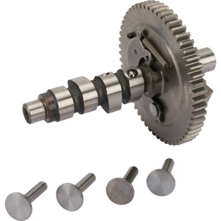Arbre à came Briggs et Stratton 691557 - 845649 - 807542
