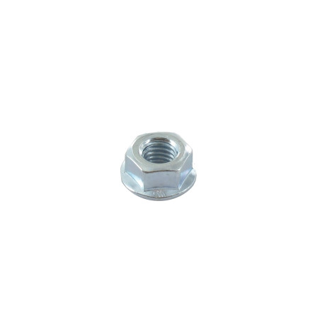 Ecrou hexagonal GGP - CASTELGARDEN 112154220/0