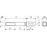 Vis UNIVERSEL M53581