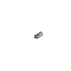 Vis tête creuse héxagonale 6 pans M6 x 12mm GGP - CASTELGARDEN 112714300/0