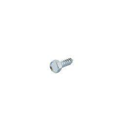Vis Parker à tête héxagonale 5x15mm GGP - CASTELGARDEN 112729600/0