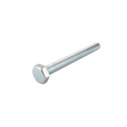 Vis à tête hexagonale M10x 100mm GGP - CASTELGARDEN 112794980/0