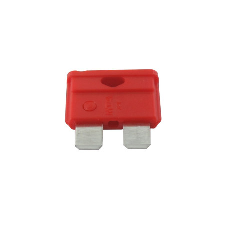 Fusible 10A GGP - CASTELGARDEN 1134-3496-01