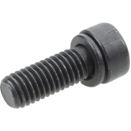 Vis BRIGGS ET STRATTON 794844