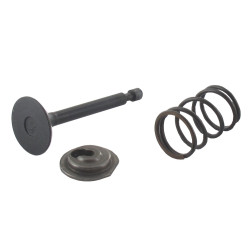Kit soupape admission GGP - CASTELGARDEN 118550292/0