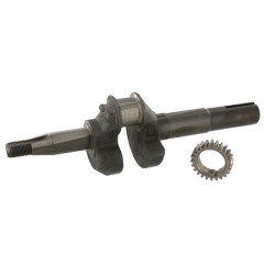Vilebrequin BRIGGS ET STRATTON 493726