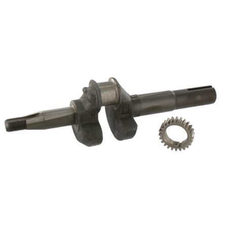 Vilebrequin BRIGGS ET STRATTON 493726