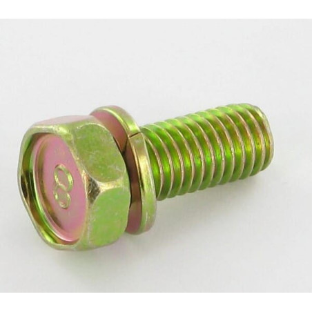 Vis BRIGGS ET STRATTON 692062
