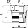 Réducteur CAMOZZI S25301238