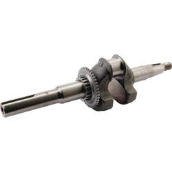 Vilebrequin HONDA 06131Z8DW20