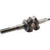 Vilebrequin HONDA 06131Z8DW20