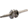 Vilebrequin HONDA 06131Z8DW20