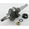 Vilebrequin BRIGGS ET STRATTON 793429