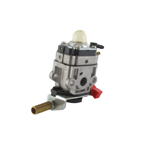 Carburateur GGP - CASTELGARDEN 123054009/1