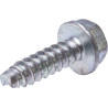 Vis BRIGGS ET STRATTON 590552