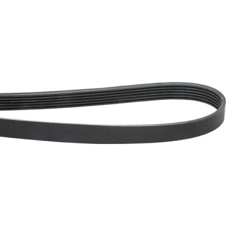 Courroie nervurée 6PK1613 OPTIBELT 6PK1613