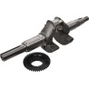 Vilebrequin HONDA 06131Z8AW00