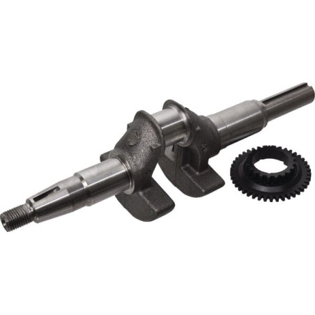 Vilebrequin HONDA 06131Z8AW00