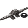 Vilebrequin HONDA 06131Z8AW00