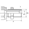 Raccord rapide FASTER CVV1232415FV