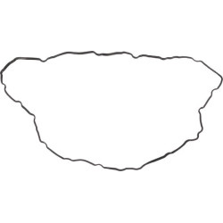 Rondelle SPICER DANA 4203922