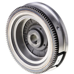 Volant BRIGGS ET STRATTON 841050WM