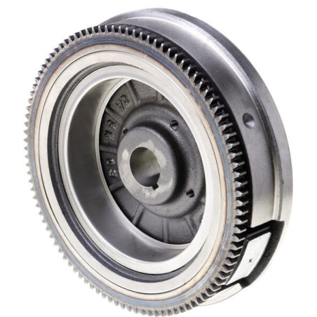 Volant BRIGGS ET STRATTON 841050WM