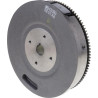 Volant BRIGGS ET STRATTON 841050WM