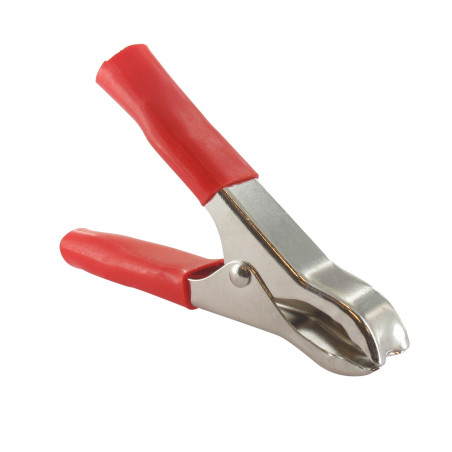 Lot de 10 pinces clip 30a UNIVERSEL 2101437