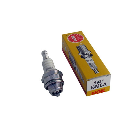 Bougies NGK BM6A