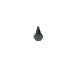Vis IBEA P3040066
