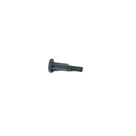 Vis IBEA P3040066