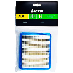 Filtre BRIGGS ET STRATTON, ARNOLD 3111-B1-0006