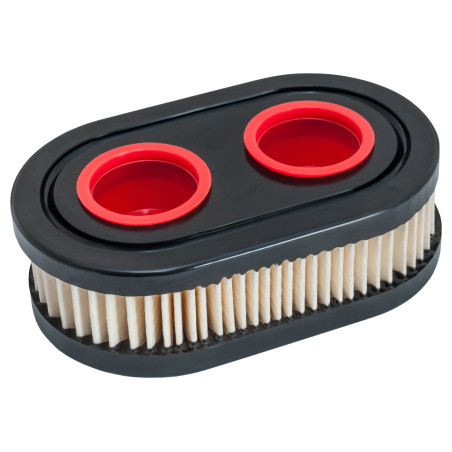 Filtre BRIGGS ET STRATTON, ARNOLD 3111-B1-0080