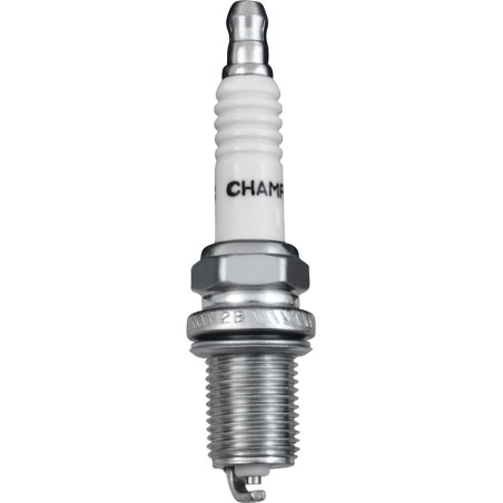 Bougie BRIGGS ET STRATTON, ARNOLD, NGK 3121-C5-0031