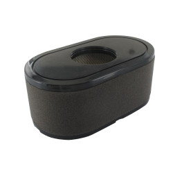 Filtre LONCIN 180100123-0001, 1801001230001