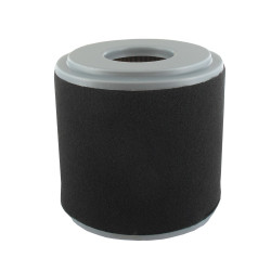 Filtre HONDA 17210-Z0V-781, 17210Z0V781