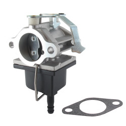 Carburateur TECUMSEH 640285, 640289, 640328, 640329, 640353
