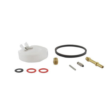 Kit réparation carburateur MTD 751-14519, 75114519