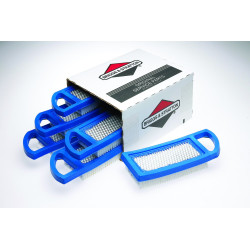 Jeu BRIGGS ET STRATTON BS4213