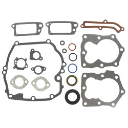 Pochette joints BRIGGS ET STRATTON 590508, 794307