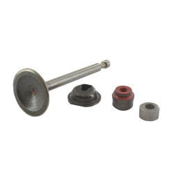 Soupape d'admission BRIGGS ET STRATTON 594094
