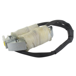 Alternateur LONCIN LON270190031-0001