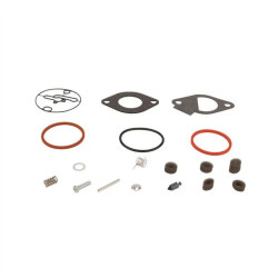 Kit réparation Briggs et Stratton - Nikki 796184